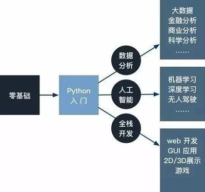 當你只有一門語言 Python驅動人工智能基礎軟件開發的深度路徑